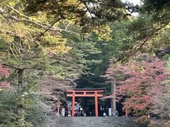 ３日目は朝一でホテルからすぐの霧島神宮へ。
朝早かったこともあり、貸し切り状態でゆっくりお参りできました。