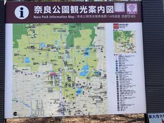 奈良といえば、鹿だよねってことで、奈良公園にやってきました。