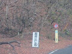 日塩もみじライン（栃木県日光市・那須塩原市）
「動物飛び出し注意」の掲示板の通り、2年前にこのあたりでニホンカモシカが横切りました。注意しなくちゃ。
