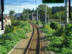 車内は混雑しているけど、単線の比較的のんびりした景色。