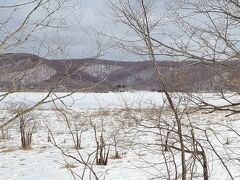 国道を北上、少しそれて達古武湖です
冬なので湖というよりは雪原ですね＾＾；