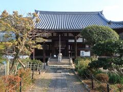 　近くの恵心院へ。こぢんまりとしているが、花の寺だ