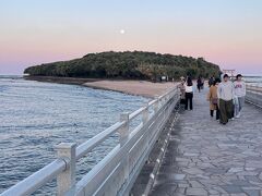 鵜戸神宮のあとは海岸を北上し、青島にやってきました。
昔、宮崎は新婚旅行のメッカと呼ばれていました。ネット内に関連記事を見つけたので、引用します。

【引用】
フェニックス（椰子）の並木道が南国ムードをそそる青島・日南周辺は、昭和の時代に「プリンセスライン」と呼ばれていました。そのワケは昭和37(1962）年に、ご結婚まもない皇太子夫妻（現在の上皇ご夫妻）が、この地を訪問されたからです。
（中略）昭和48(1973）年に新婚旅行で宮崎市内にお泊りしたカップルは約37万組。この数字は同じ年に結婚したカップルの約35%にあたります。（中略）昭和30年代後半から50年代初頭まで宮崎は、名実ともに新婚旅行のメッカでした。
【引用終わり】

新婚カップルの1/3が宮崎に来ていたというのは、まゆつばのような気もしますが、新婚旅行先として人気を誇っていたのは確かなことのようです。