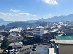 血の池地獄のバス停も行列だったため、
通りすがりのタクシーを拾って鉄輪温泉へ。
鉄輪温泉へ戻る途中の高台で
写真を撮りたかったためタクシーを一時停車してもらい、
鉄輪温泉の湯けむりをパチリ。

煙が縦に上がっていたらもっと良かったのに、
風向きには逆らえません。