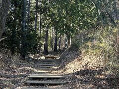 一丁平に近づいてきました。
この辺りは葉が落ちない木が多め。
