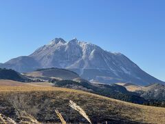 大分地方は、私たちの到着前日に雪が降り、山間部を中心に積もった場所もありました。サファリパークは山間部にあり、私たちが訪問した日も雪が残っていました。ライオンをはじめとした熱帯の動物たちを雪を背景に見るのは珍しく、印象に残りました。
近くの由布岳も雪をかぶり、きれいな姿を見せていました。