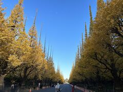 宿泊したOMO３東京赤坂に、ドコモ・バイクシェアのポートがあり、明治神宮外苑のあたりまでサイクリング。いちょう並木が見頃なので、人で混雑する前の朝の時間帯に行きたかったんです。