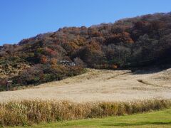スキー場は、いまはすすきがきれい。