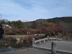 平日の円山公園は、少し空いてますね