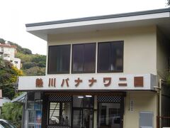 「熱川バナナワニ園」へ。
ホテルのフロントで割引券が購入出来たので、お得に入園出来ました。