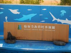 「仙台うみの杜水族館」へ。