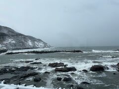 次にクラゲの水族館へ立ち寄ります。
日本海に面している加茂水族館