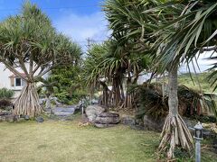 美ら海水族館にいる家族と合流してから、ランチ目当てで瀬底島にあるBottle Palm Gardenへ。
瀬底島へ渡る橋からの景色は素晴らしかったです。