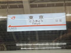 8/18   20:03    東京駅
またまたサンライズの撮影に失敗し、品川は19:56に到着。
新幹線は終点東京に到着しました。

この後中央線ホームに行き20:13発の快速高尾行きに乗りました。