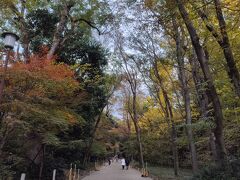 下鴨神社に向かって永遠に続くかと思われる参道を歩く