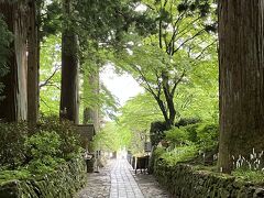 春の花期間中の4月中旬～5月上旬は桜の名所としても有名