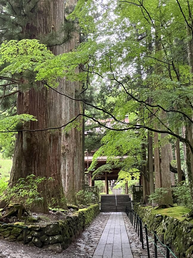 光前寺 霊犬『早太郎』(わんこ寺)』駒ヶ根(長野県)の旅行記
