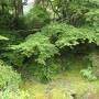 夏の山梨・箱根・伊豆旅♪　Vol.162 ☆伊豆長岡温泉「三養荘」：さようなら♪