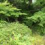 夏の山梨・箱根・伊豆旅♪　Vol.162 ☆伊豆長岡温泉「三養荘」：さようなら♪