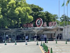 せっかく王子公園に来たならば、パンダを見てみたい。入園料も６００円と安かったので久々に王子動物園に入ってみました。ところが入園したところ、残念ながらパンダは体調不良で観覧停止中ということが分かりました。