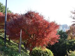 西郷山公園へ