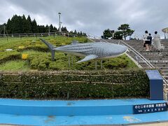 のとじま水族館