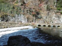 対岸には「薬師の湯」と呼ばれる天然温泉があります。
昔から川治温泉は、病気やけがに悩む人たちに効能が
あるといわれ、薬師如来にあやかって名付けられた
といわれています。
言い伝えでは、かの土方歳三が会津地方にいた頃、
戦争で傷ついた身を、この「薬師の湯」で癒した
とも。

以前は無料で開放されていましたが、今は閉鎖されたらしいです。

