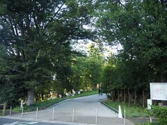 武蔵野樹林パーク(東所沢公園内)