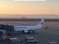 飛行機での移動