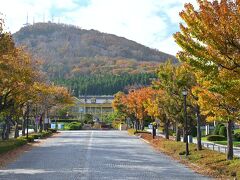 ●基坂

ということで、さっそく停留所のすぐ近くの「基坂（もといざか）」へ。
坂の途中から見上げてみると、紅葉した並木道の先に、レトロな洋館と「函館山」がそびえてて、とっても絵になりますね～。