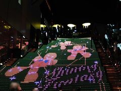 京都駅といえば、大階段。
クリスマスらしいイルミネーション。寒さも忘れてついつい見てしまいます。