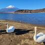富士山、そして暖かい伊豆に。