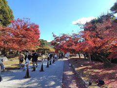 宇治と言えば平等院
平等院に行くまでの道はお店がいっぱい。ほうじ茶を燻すこうばしい香りをクンクンしながら歩いていきます