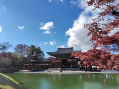 10円玉で有名な平等院鳳凰堂
青い空と白い雲と赤いモミジと緑の濁った水とのコントラスト