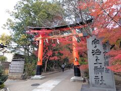 宇治上神社本殿 拝殿