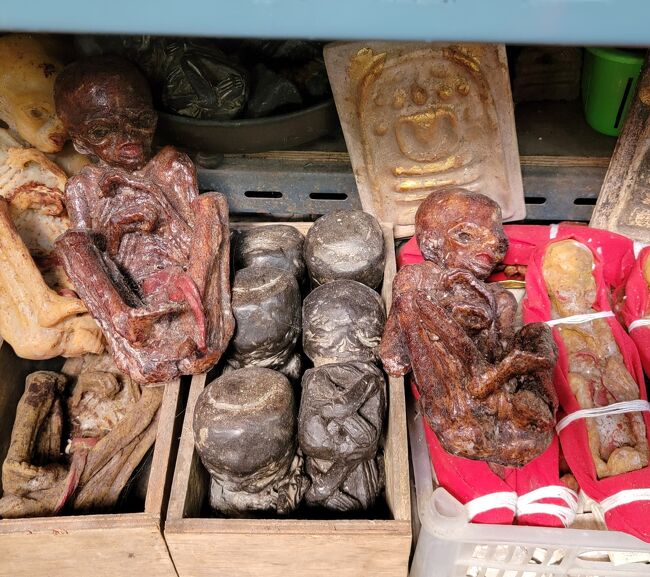 バンコク初心者⑦お守り市場とシリラート死体博物館』バンコク