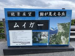東平安名崎からシギラリゾート方面へ移動。
途中、鯨が見える丘「ムイガー」の表示があったので降りてみます。