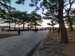 海の公園は日の出前に明るくなり、砂浜には予想とおりかなりの人出だ。