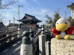 【くろ谷金戒光明寺】
岡崎神社の横にくろ谷金戒光明寺に行く近道を見つけたので大豊神社に行く前に、まず金戒光明寺にいきあ、真如堂に寄ってから、真如堂の横の階段を白川通りに降りて　大豊神社のある哲学の道に行く事としました。