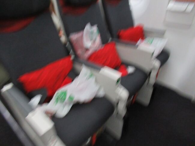 ピンぼけ写真でスミマセンが、座席はこの非常口前の通路側2席です。13時間以上なので足が伸ばせていつでもトイレに行けるのがメリット。デメリットは荷物がそばに置けないことと、モニター画面が安定飛行するまで引き出せないこと。<br />搭乗開始が遅くなって、若干遅れて出発。<br />