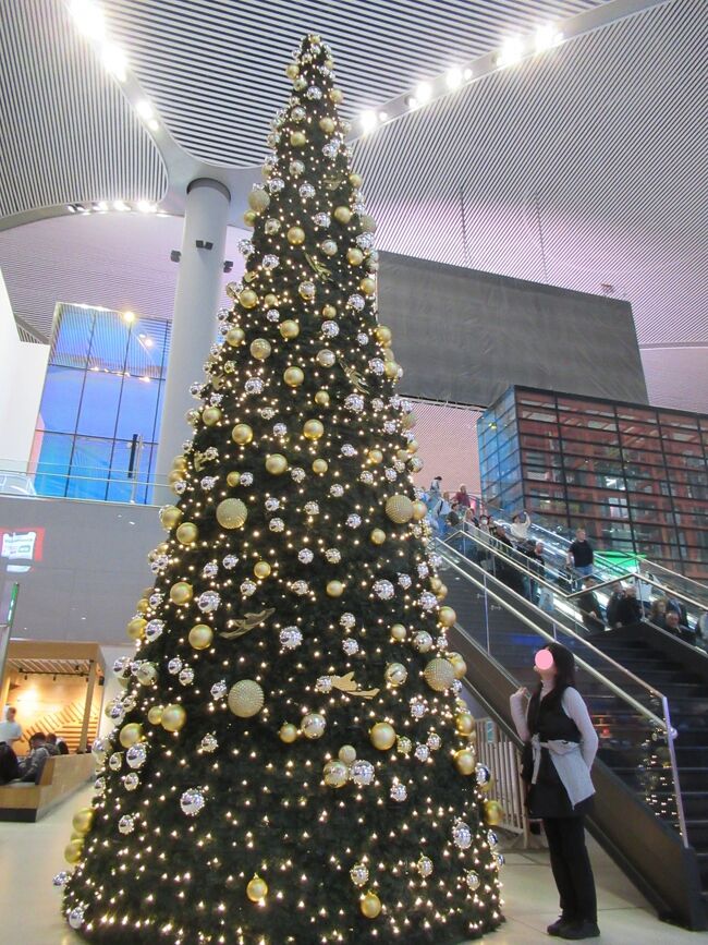 エスカレータを降りた両側に大きなクリスマスツリーがあって、奥さんと記念写真をば