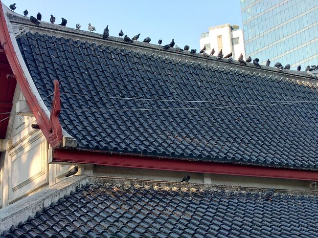 ベンチャシリ公園に行こうとBTSに入ったら、便意を催し、駅のスタッフに誘導されて、駅外部のスタッフ用トイレに案内されました。しかし、今度は、猫バッグをトイレに忘れ、またもや、小さな騒動に。大き目の生理ナプキンを駅内のコンビニで買って、ベンチャシリ公園に。