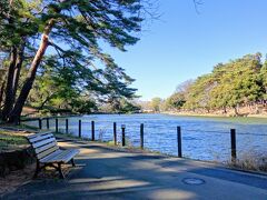 氷川神社の隣りにある大宮公園も歩きます。
大宮公園にも出店が出ていましたね。
こちらは桜の名所にも成っていて時期になると氷川神社よりも賑やかになるそうです。
桜の時期にも行ってみたいですね。