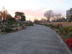 旧草津川が流れていた所が草津川跡地公園de愛ひろばとなっています。東西に長く続く公園からは綺麗な夕日が見えました