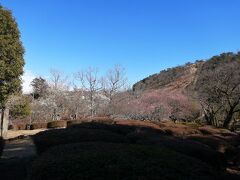 小室山公園