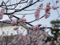 小田原市郷土文化館