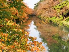 弘前城のお堀

桜の木が見事に紅葉してます。
春は綺麗なんだろうなあ。
花筏が有名なのってこの辺かしら？