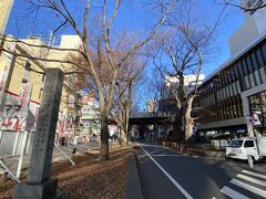 今回のメイン、大國魂神社を目指します。
府中駅からは参道として駅前のケヤキ並木1本でつながっています。