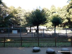 鹿島神宮鹿園