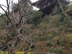 庭園から。三重塔は撮ってしまう。東西そろって塔が現存しているのは日本で當麻寺だけです。